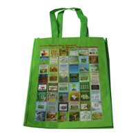 昌都LB11覆膜无纺布广告袋